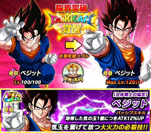 【超激戦】究極合体!!閃光のポタラで超ベジットをドッカン!